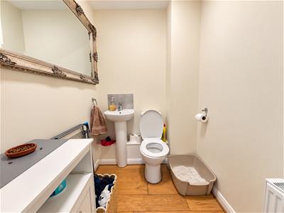 Picture 15